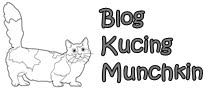 Blog Kucing Munchkin