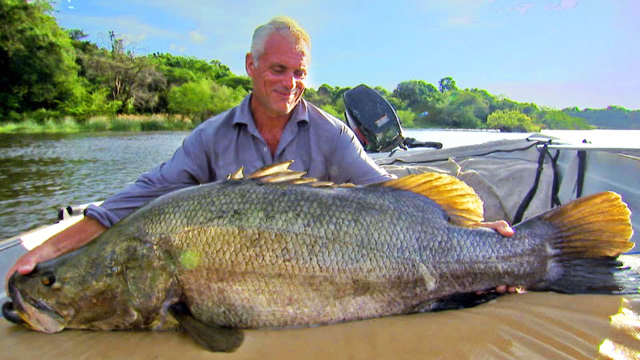 World record nile perch 915145How big can a nile perch get kabegamiduongtu