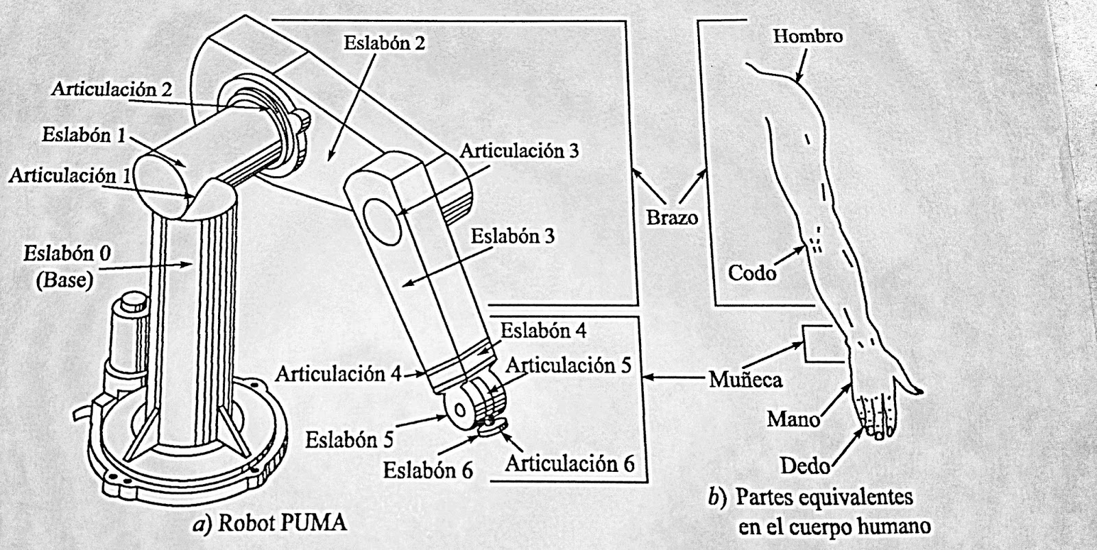 Robótica Educativa RED 2017