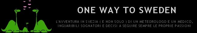 One way to Sweden - Il blog di due italiani in Svezia