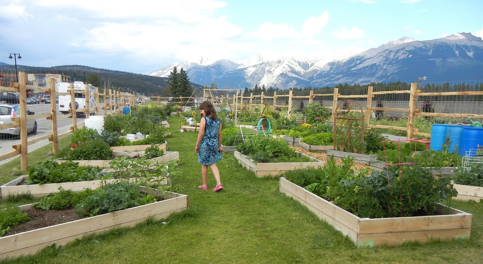 Gardening with Jess Jasper community garden