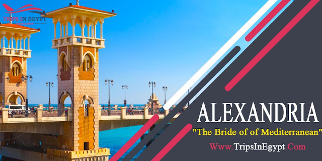 Alexandria City - Egypt Tour Packages from Dubai - www.tripinegypt.com