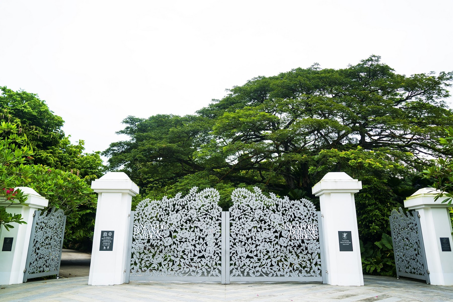 Jardín Botánico de Singapur