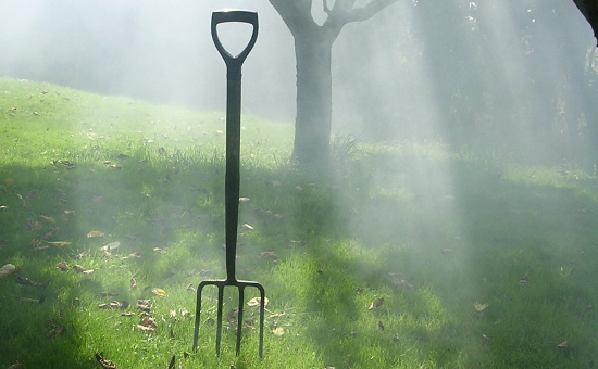 Photo (cropped) of a pitchfork. Taken by Edward Simpson (August 26, 2007). Photo (cropped) of a pitchfork. Taken by Edward Simpson (August 26, 2007).