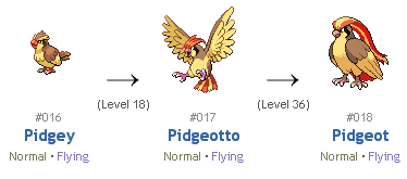 Pidgeotto Evolution Chart