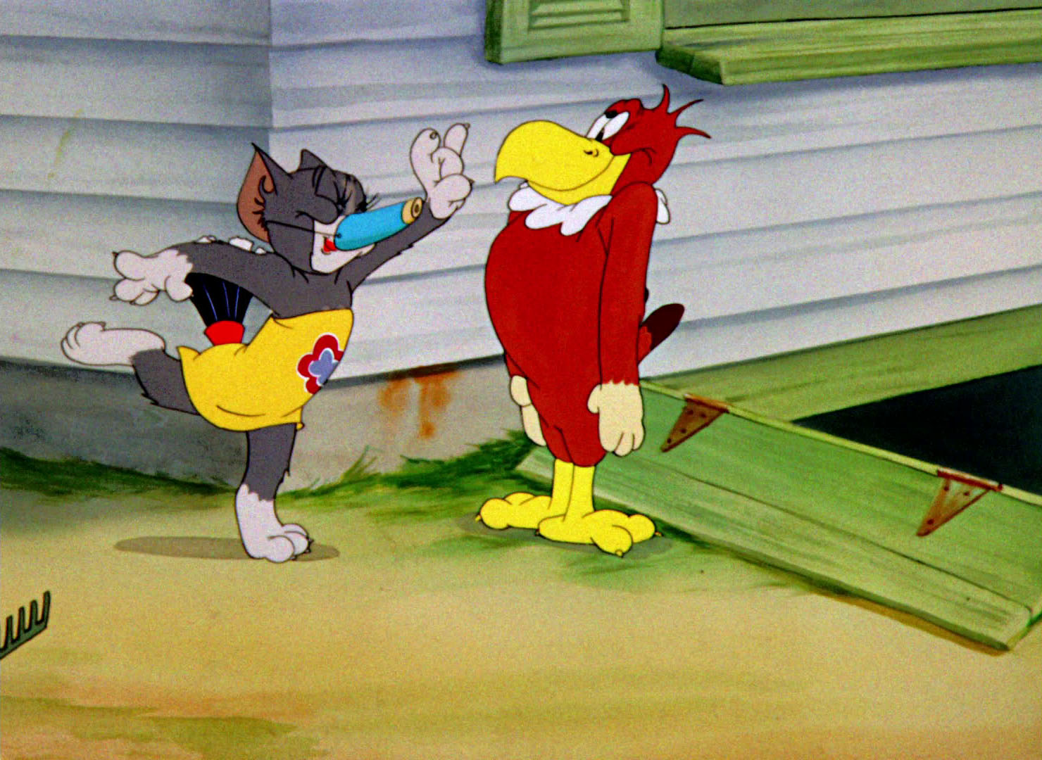 том и джерри любовь. Flirty birdy 1945. том и джерри 1963. птичка из том и джерри. кокетливая птичка.