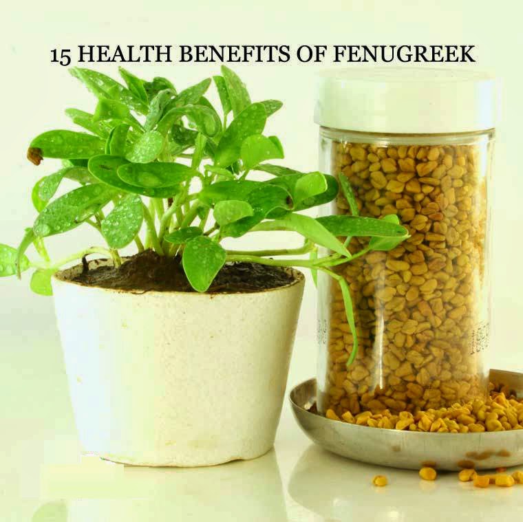 Health Root within Nature, Free Home Remedies & Health Guide TOP 15