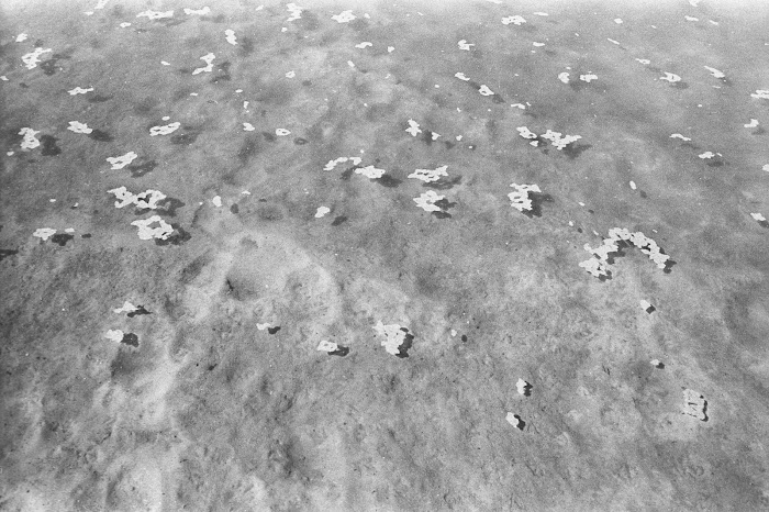 Gdansk, Westerplatte, © L. Gigout, 1990