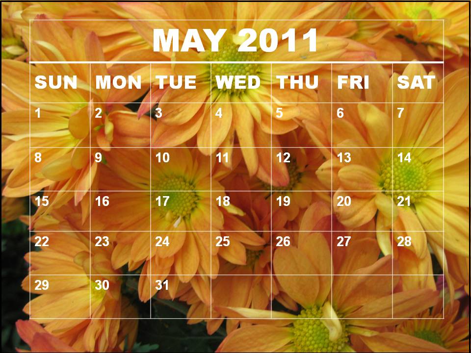 2011 calendar template. free may 2011 calendar
