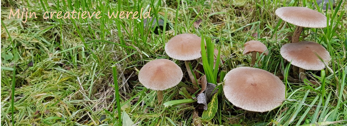 Mijn creatieve wereld