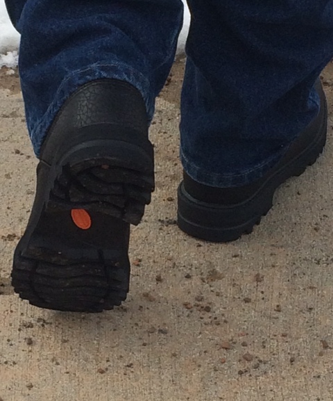 lugz avalanche strap