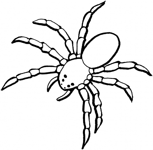 tarantule coloring pages - photo #4