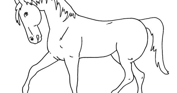 Kuda Sketsa Gambar Hewan Kartun - Contoh Sketsa Gambar