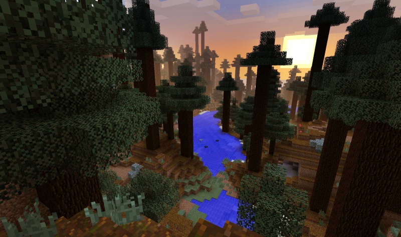Minecraft : Redwood Forest