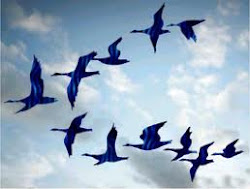 LOS SUEÑOS INSTITUTE: How Do Friends Make You Creative?