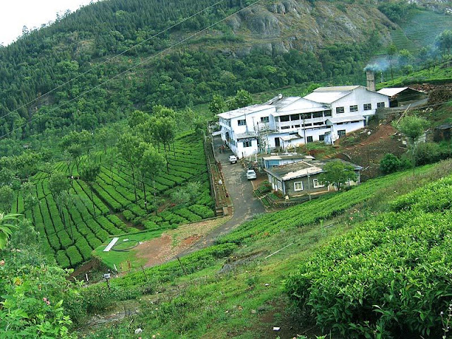 ooty best tourist places in summer or winter