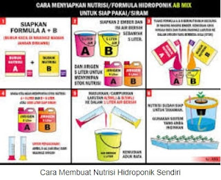 Cara Membuat Nutrisi Hidroponik Sendiri Cara Membuat Nutrisi Hidroponik Sendiri