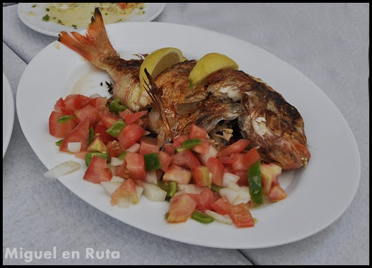 Gastronomía-Cádiz