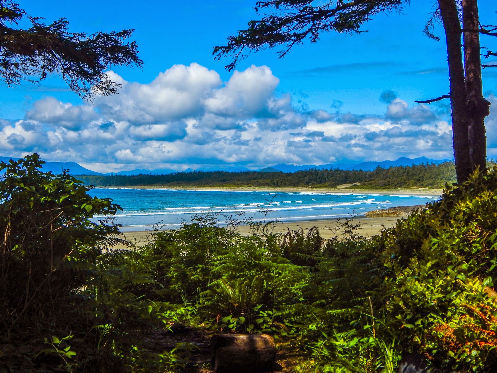 Walking Arizona: Long Beach, Pacific Rim National Park Reserve