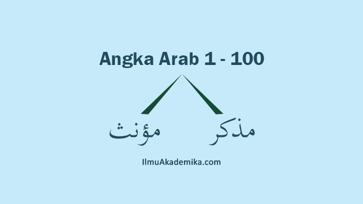 bahasa arab angka 1 sampai 100 mudzakkar dan muannats