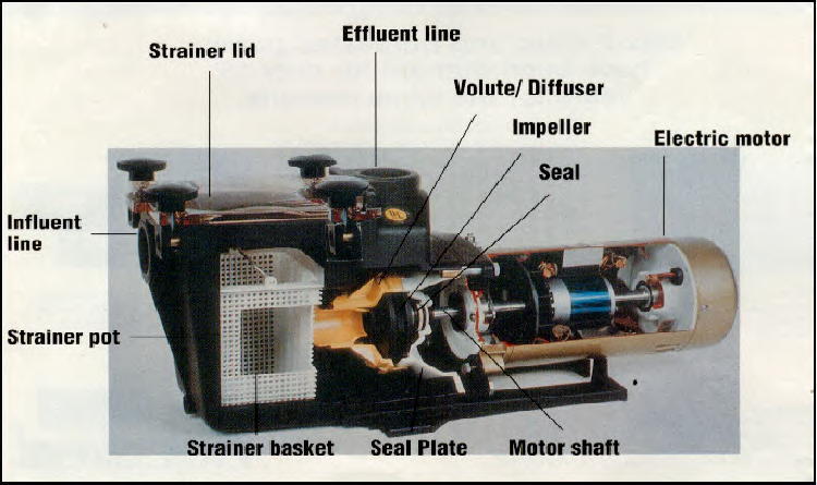 Hayward Pool Pump Reviews