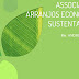 Associativismo, arranjos econômicos e sustentabilidade