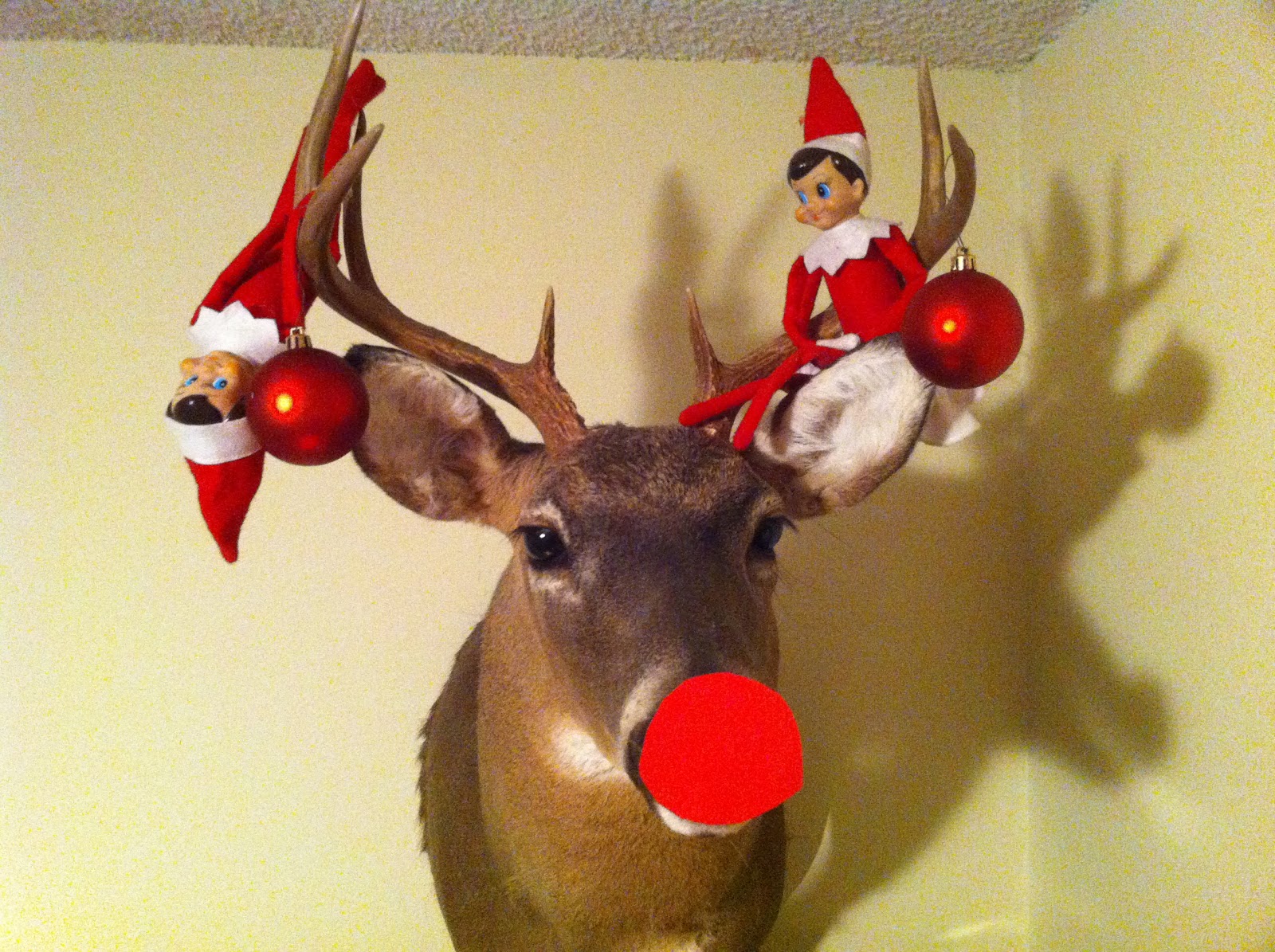 CrAzY Working Mom: Rudolph???