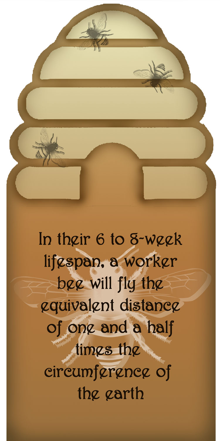 Printable Bee Facts
