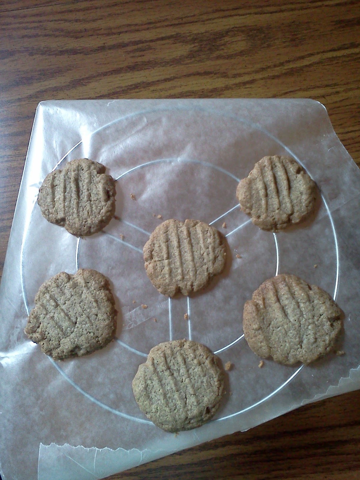 Consider the Lilies Acts of Creation