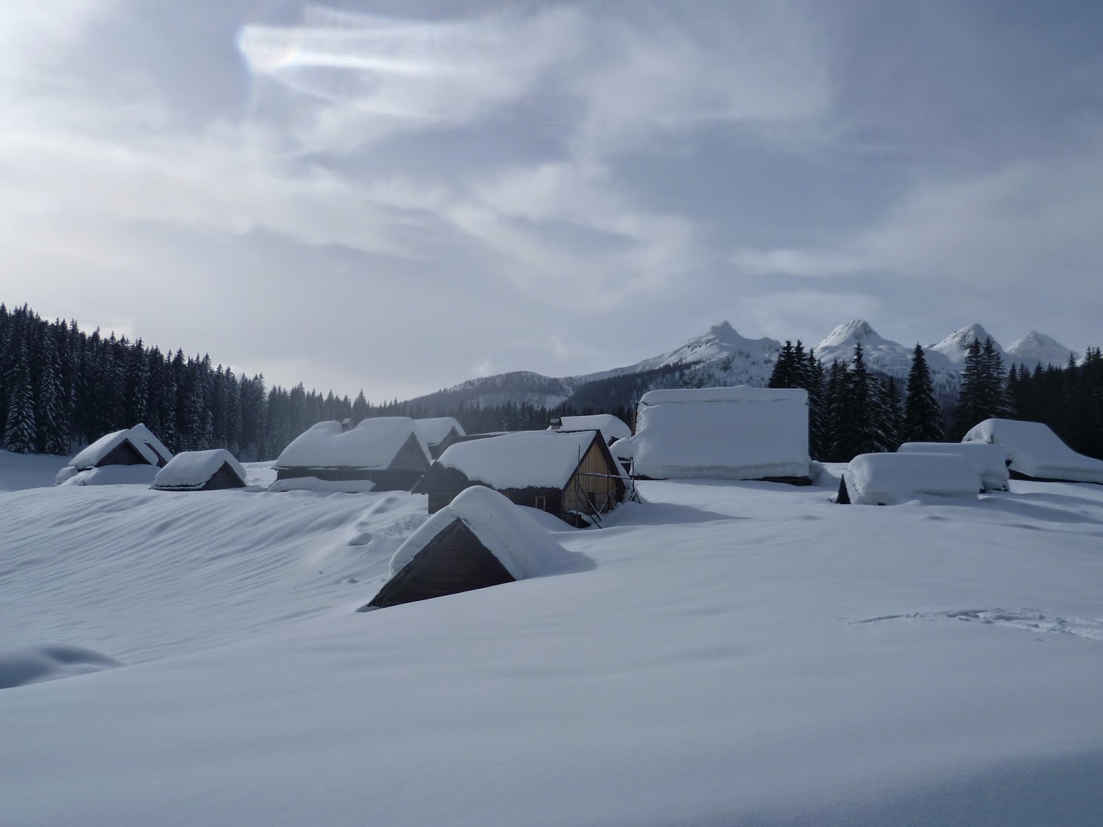 Pokljuka Slowenien Pokljuka Slowenien