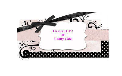 Top 3 chez Crafty Catz