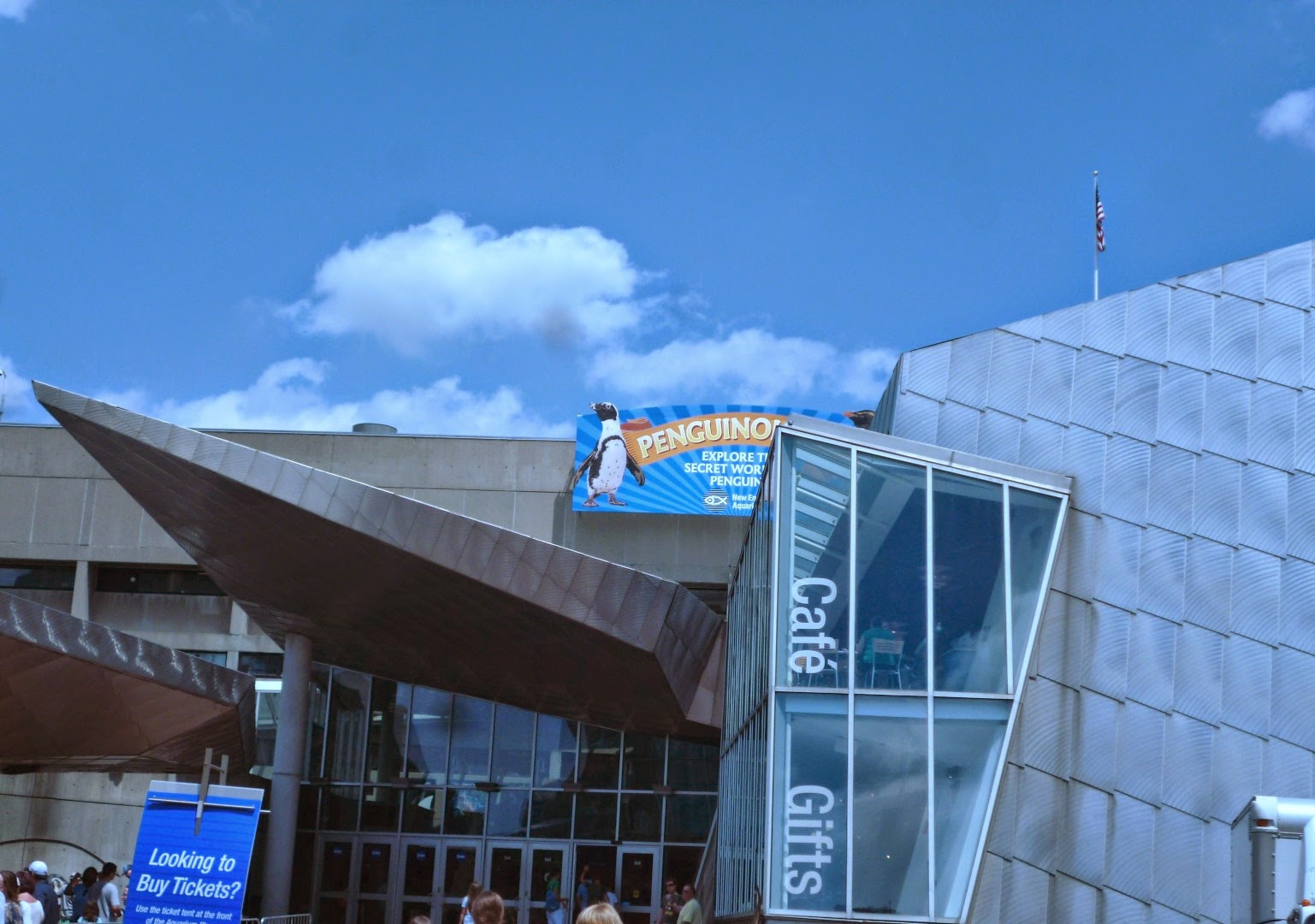 Writing Straight from the Heart A Trip to the New England Aquarium in