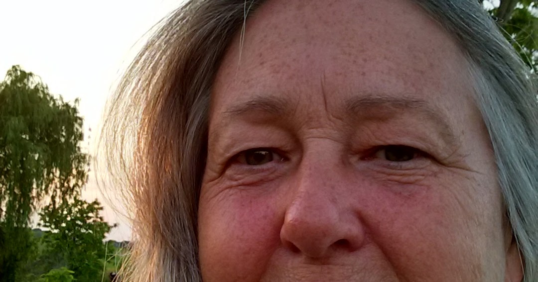 O'Shaughnessy Writes The Author Herself