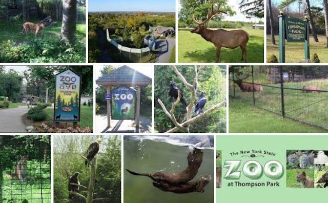 Thompson Park Zoo Watertown NY