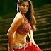 South Indian Actress Nayanthara Hot Pics