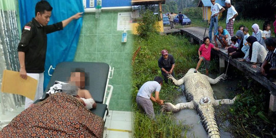 Aksi Heroik Seorang Ibu di Jambi Terjun ke Sungai Selamatkan Anaknya yang Diterkam Buaya Aksi Heroik Seorang Ibu di Jambi Terjun ke Sungai Selamatkan Anaknya yang Diterkam Buaya