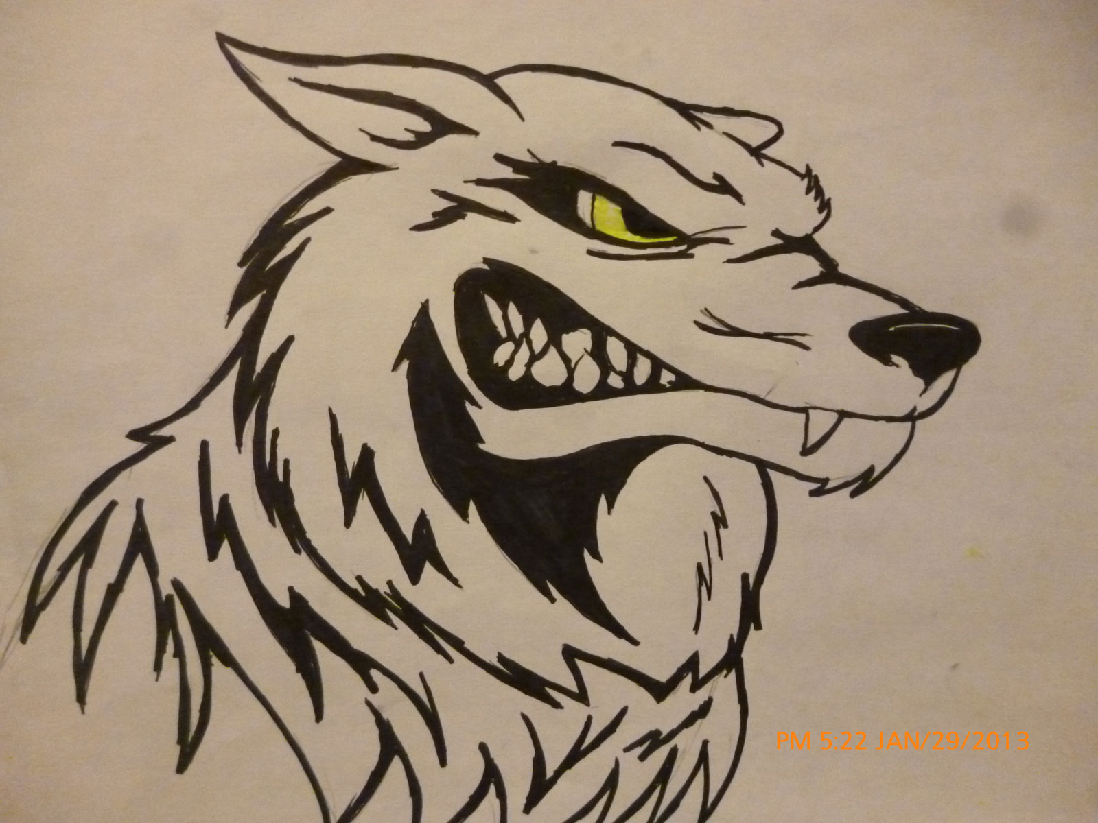 Tattoos House: HD Tattoos Designs Collection for Both Men and Women