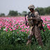US War In Afghanistan Is Fueling Global Heroin Epidemic & Enabling The Drug Trade