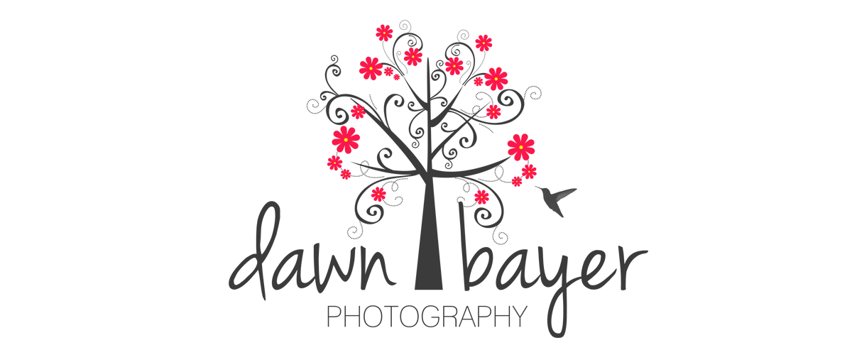 Dawn Bayer Photography