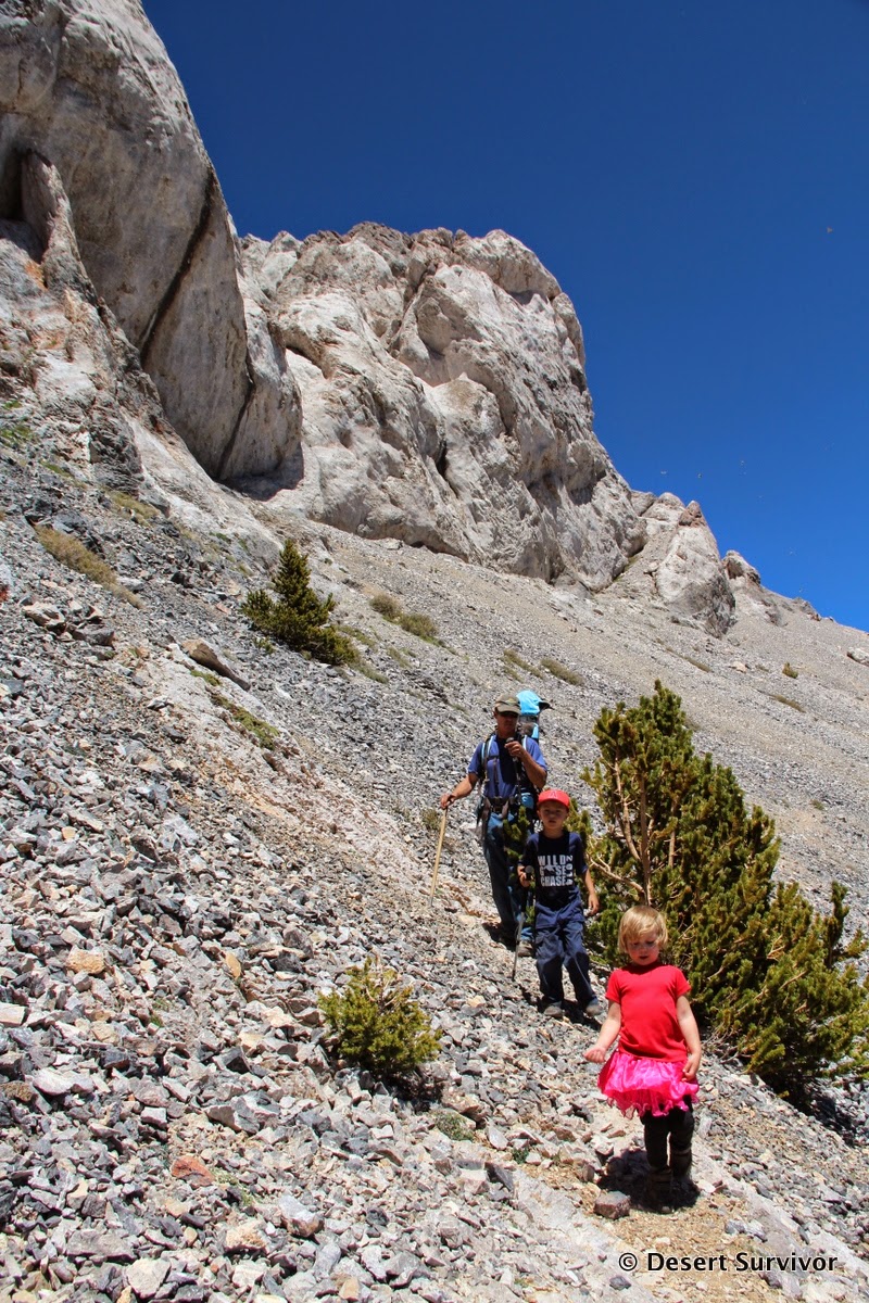 Desert Survivor Hiking up Mount Moriah in the North Snake Range, Nevada