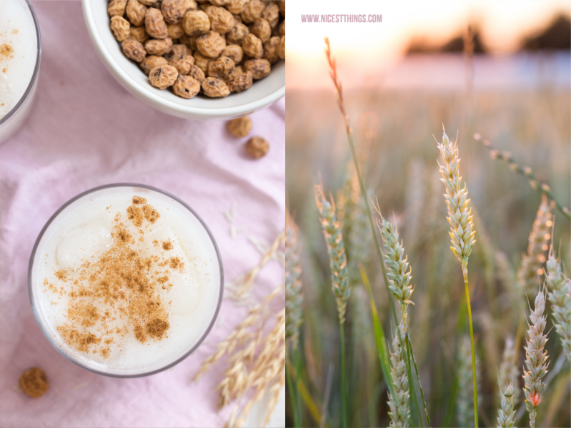 Horchata Rezept Erdmandelmilch Erdmandeln Chufa Milch