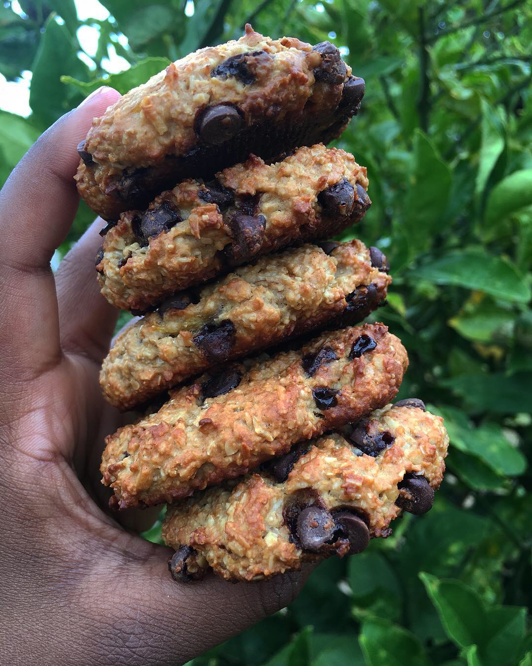 Healthy protein oat cookies