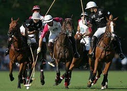 BEST LAND & POLO FARMS FOR SALE