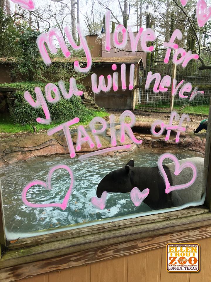 The Zoo Review Happy Valentine's Day!