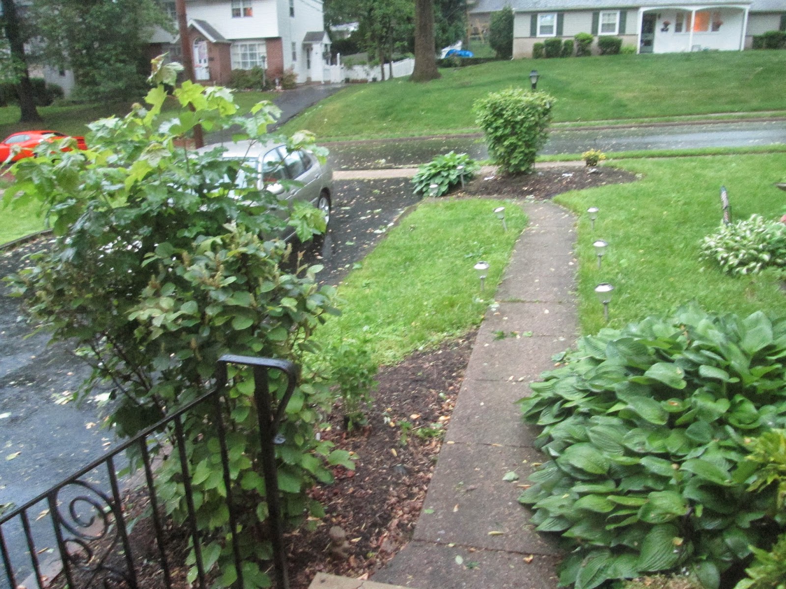 The Belle of Cowbell The Bipolar Therapist from Willow Grove, PA High