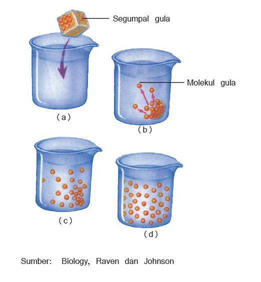 Bagaimana Cara Zat Keluar Masuk Sel? - myrightspot.com