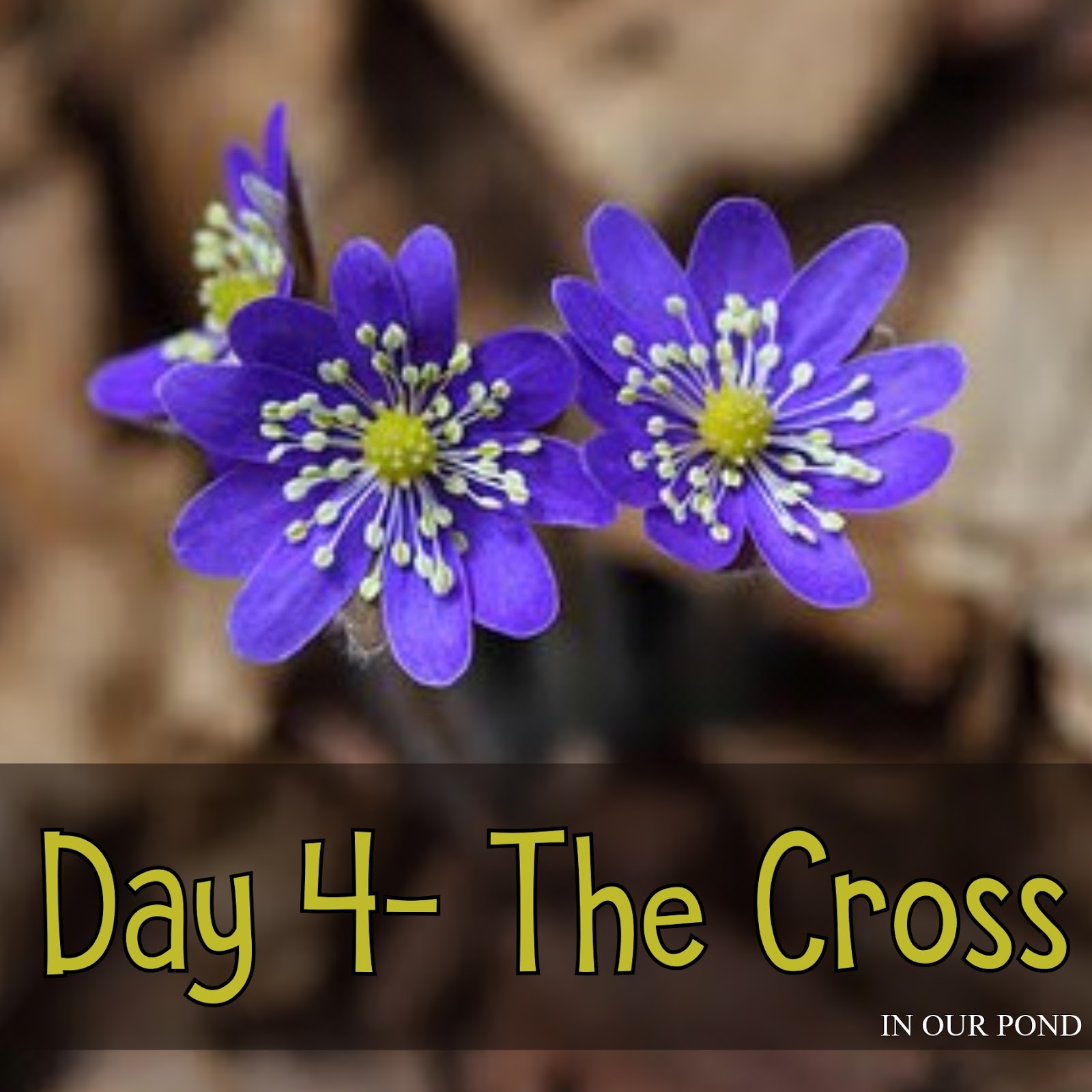 Behold the Lamb (Day 4)