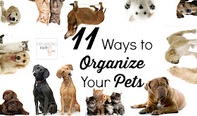 11 Ways to Organize Your Pet :: OrganizingMadeFun.com