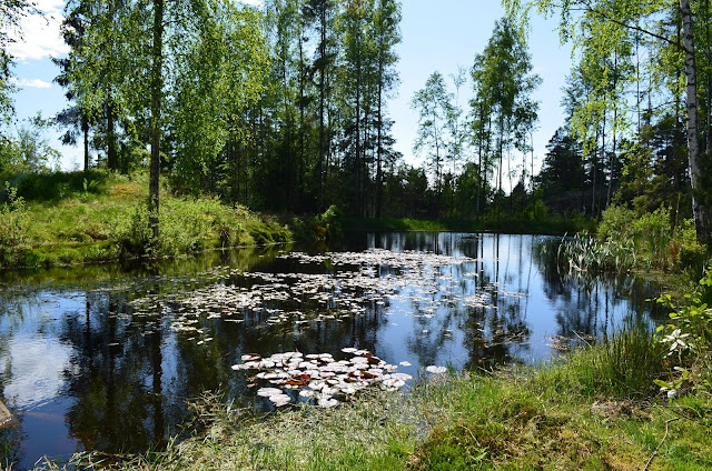 DSC_0004.JPG