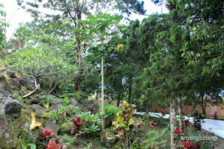 makam sam ratulangi minahasa sulawesi utara